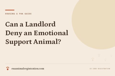 Can a Landlord Deny an Emotional Support Animal?