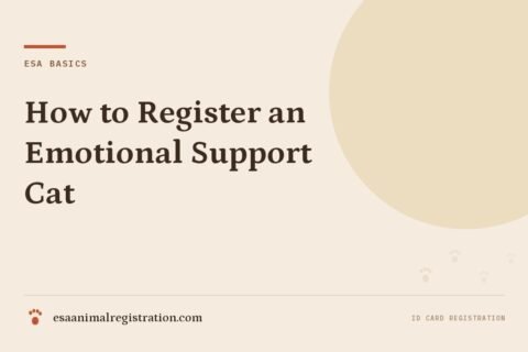 How to Register an Emotional Support Cat