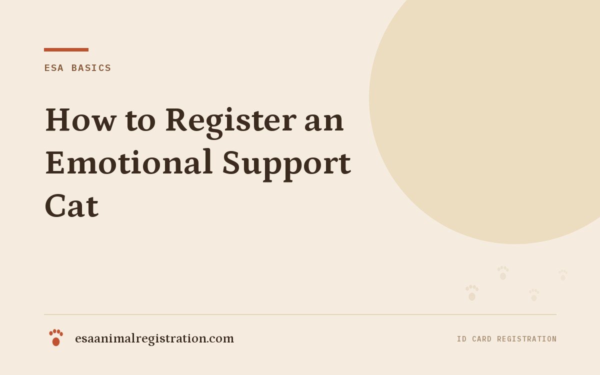 How to Register an Emotional Support Cat