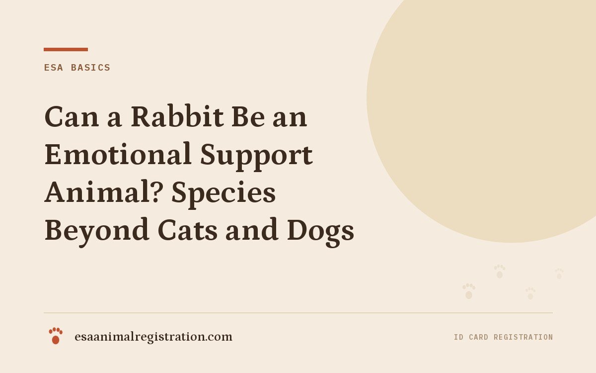 Can a Rabbit Be an Emotional Support Animal? Species Beyond Cats and Dogs