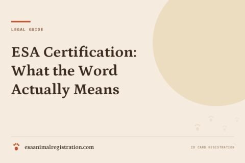 ESA Certification: What the Word Actually Means