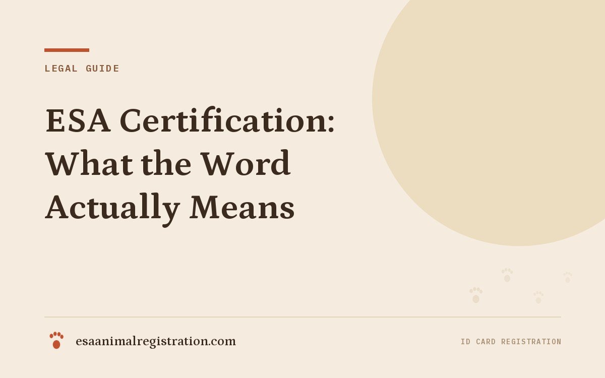 ESA Certification: What the Word Actually Means