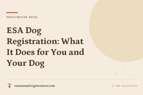 ESA Dog Registration: What It Does for You and Your Dog