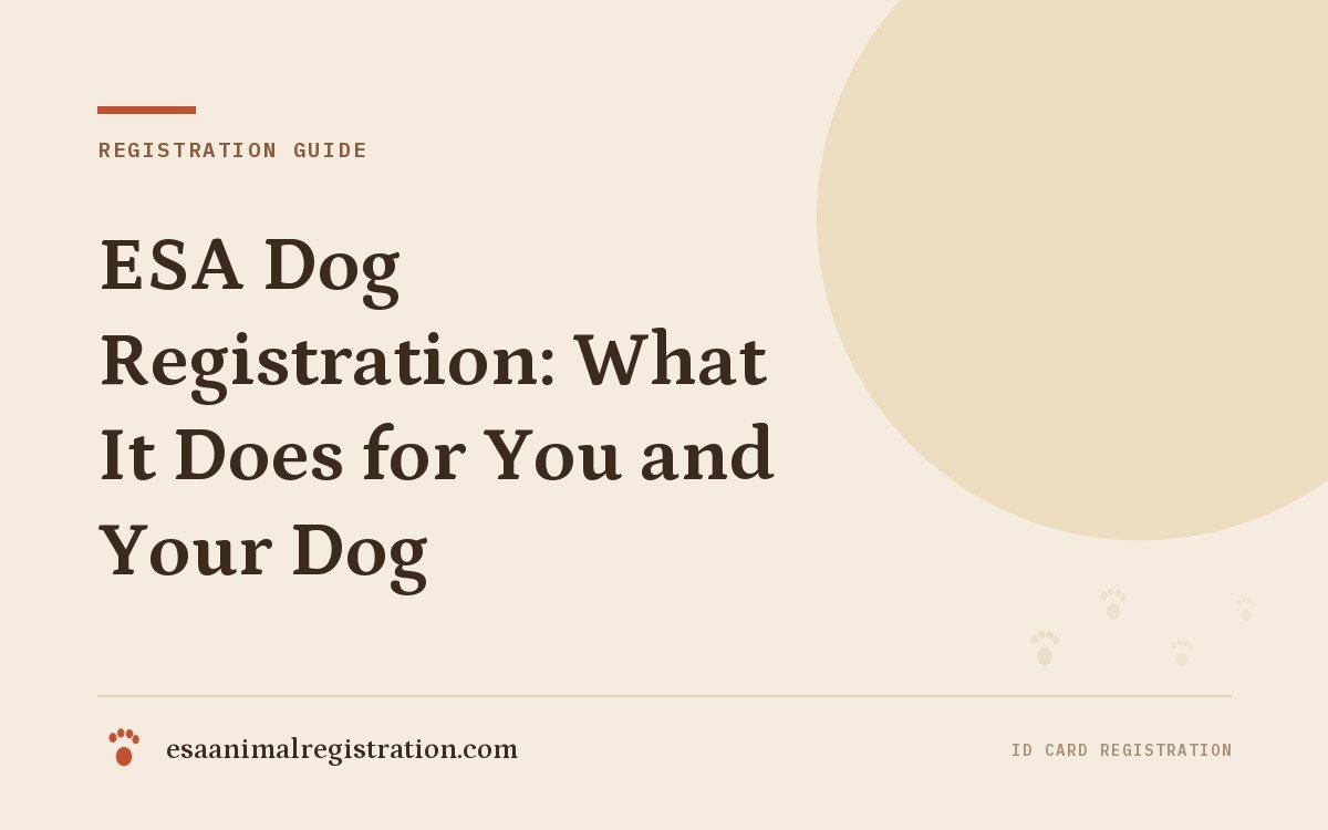 ESA Dog Registration: What It Does for You and Your Dog