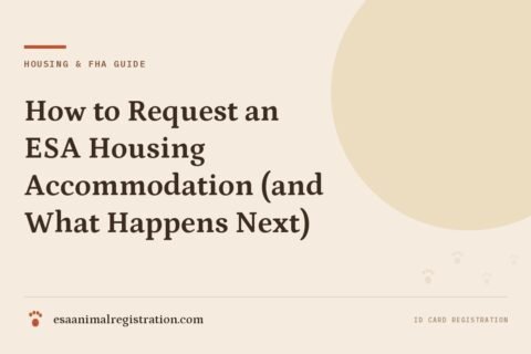 How to Request an ESA Housing Accommodation (and What Happens Next)