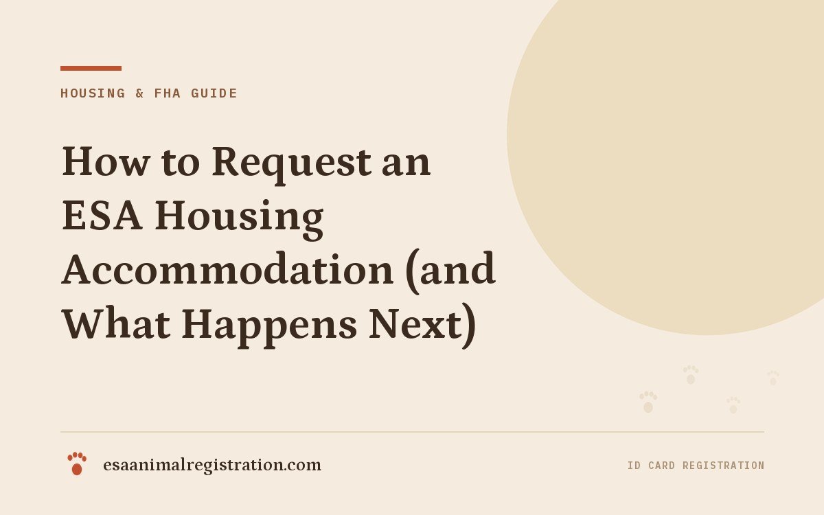 How to Request an ESA Housing Accommodation (and What Happens Next)
