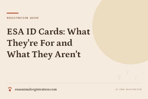 ESA ID Cards: What They're For and What They Aren't