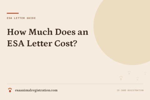 How Much Does an ESA Letter Cost?