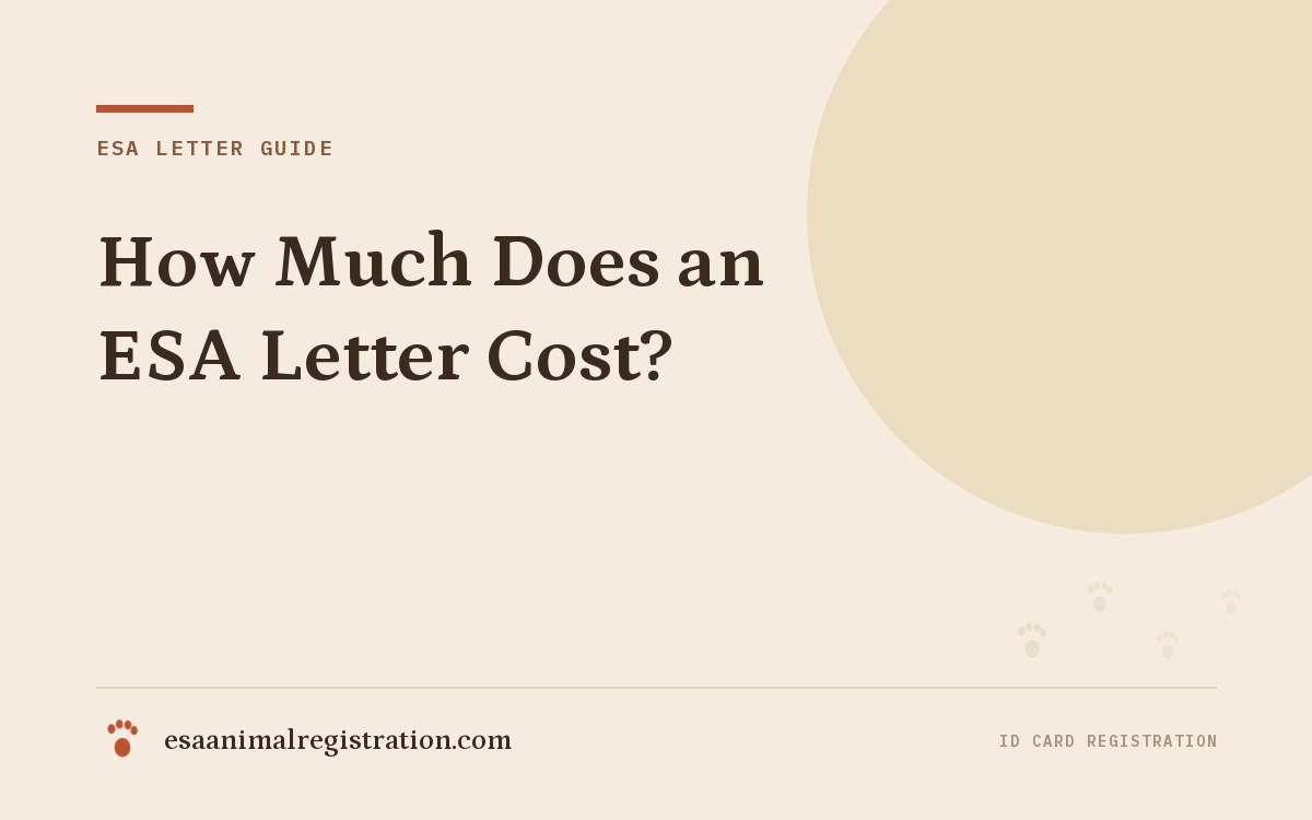 How Much Does an ESA Letter Cost?
