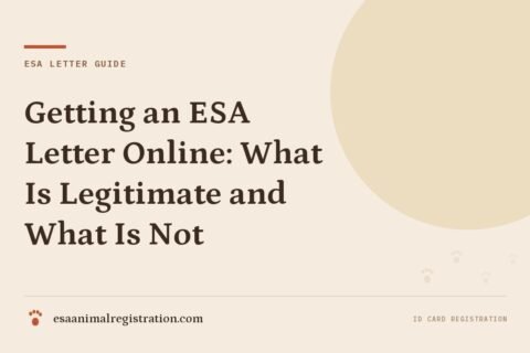 Getting an ESA Letter Online: What Is Legitimate and What Is Not