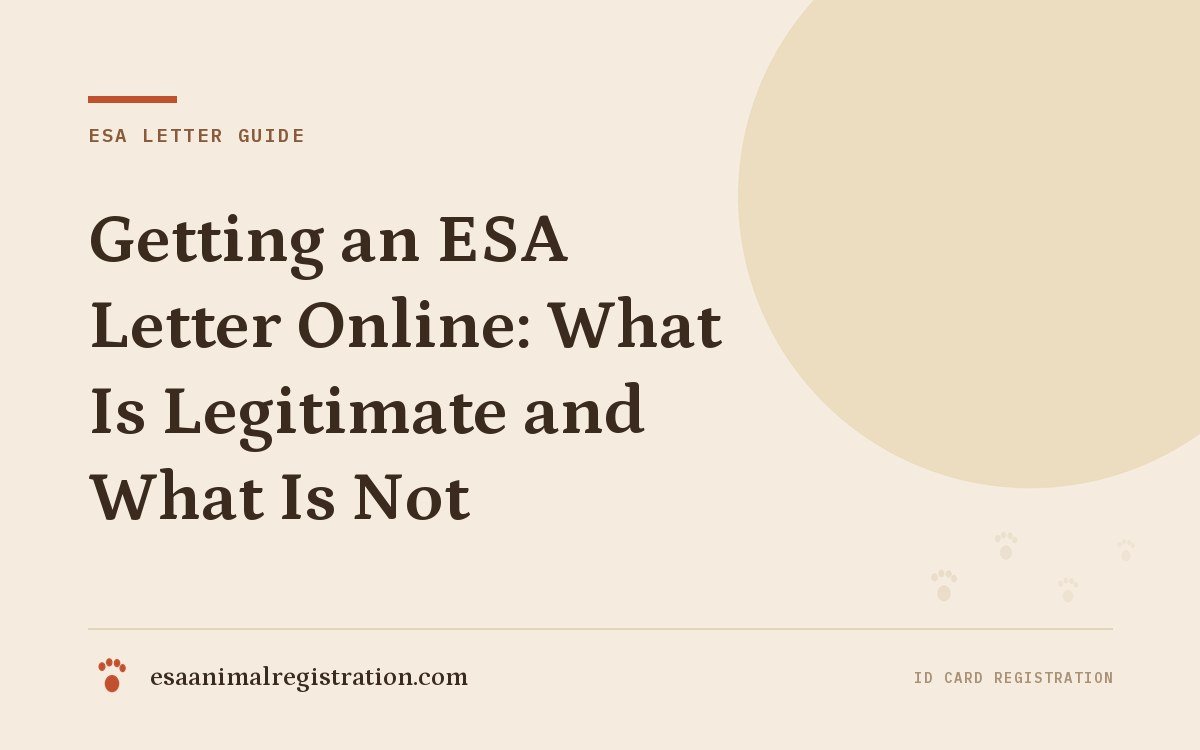 Getting an ESA Letter Online: What Is Legitimate and What Is Not