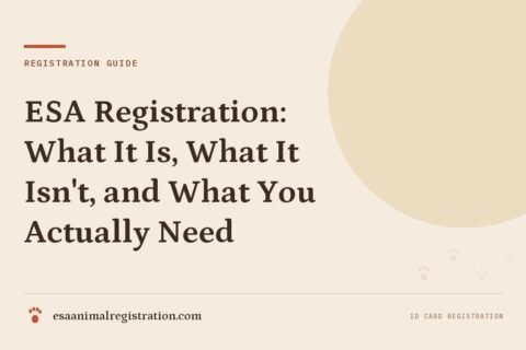 ESA Registration: What It Is, What It Isn't, and What You Actually Need