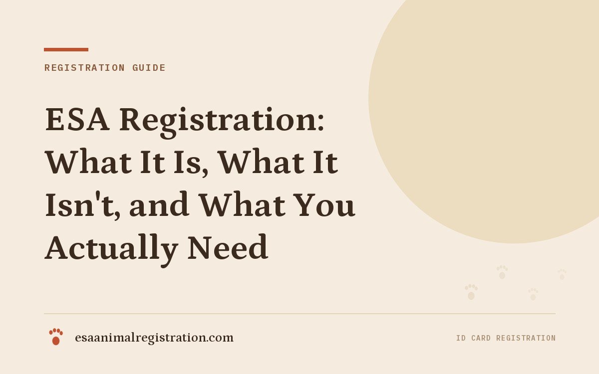 ESA Registration: What It Is, What It Isn't, and What You Actually Need