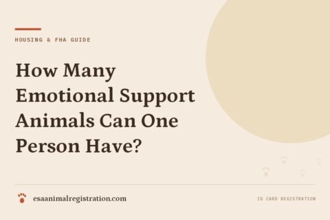 How Many Emotional Support Animals Can One Person Have?