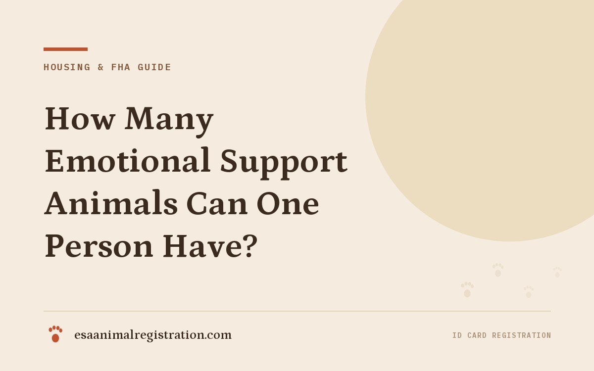 How Many Emotional Support Animals Can One Person Have?