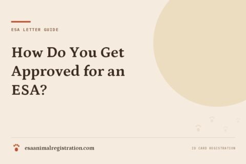 How Do You Get Approved for an ESA?