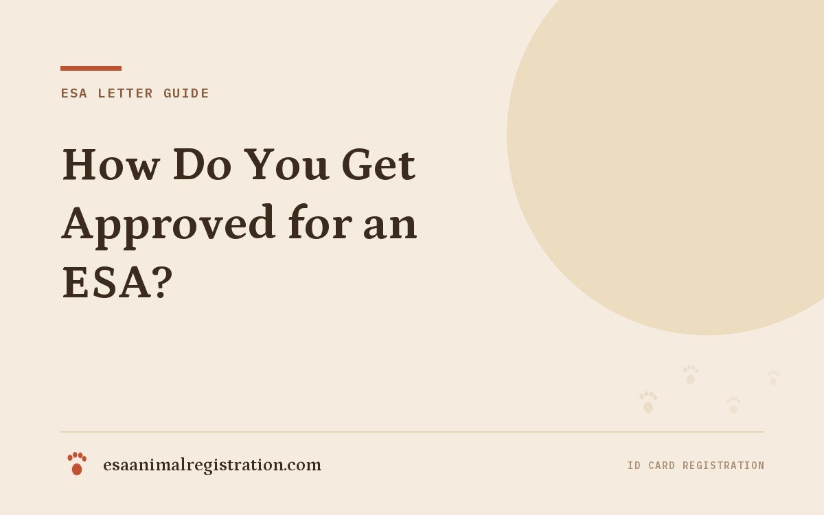 How Do You Get Approved for an ESA?