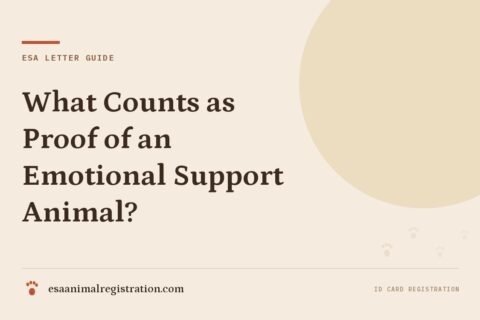What Counts as Proof of an Emotional Support Animal?