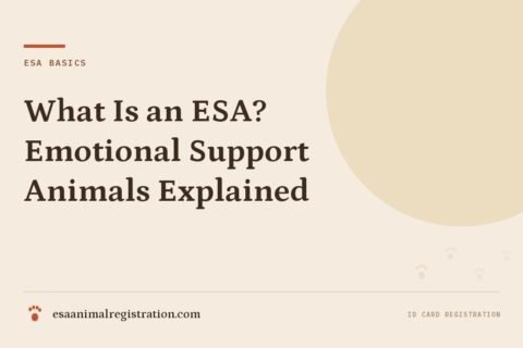 What Is an ESA? Emotional Support Animals Explained