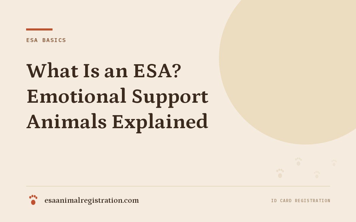 What Is an ESA? Emotional Support Animals Explained